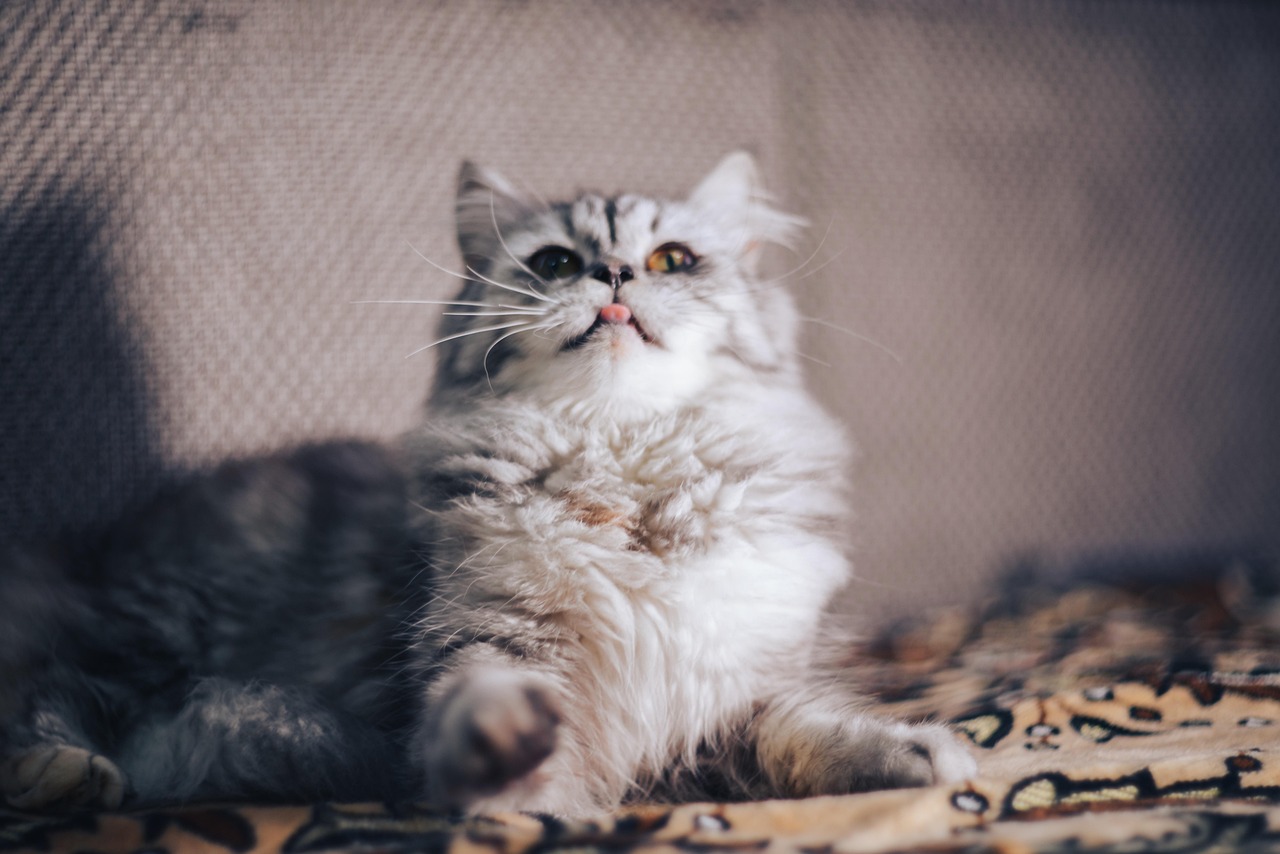 Collaborating with veterinarians, trainers, and other pet care professionals can