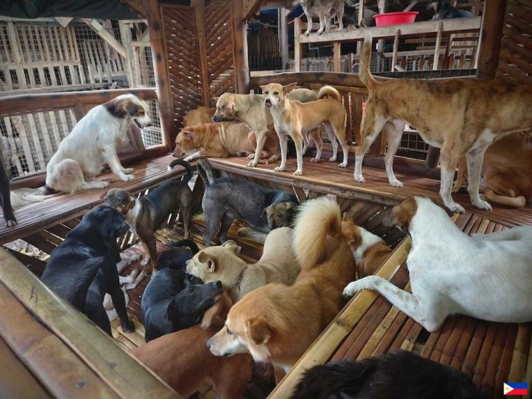 fbimg1764387526353_2025-11-29_11-41-07