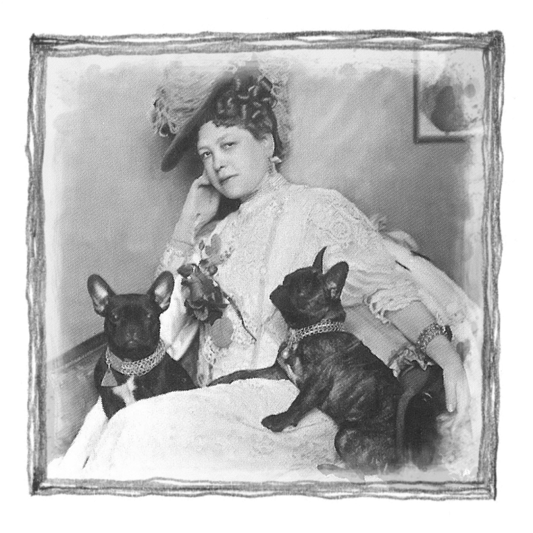 How To Choose The Perfect Lifestyle Products For Your Pet