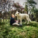 How To Choose The Perfect Lifestyle Products For Your Pet