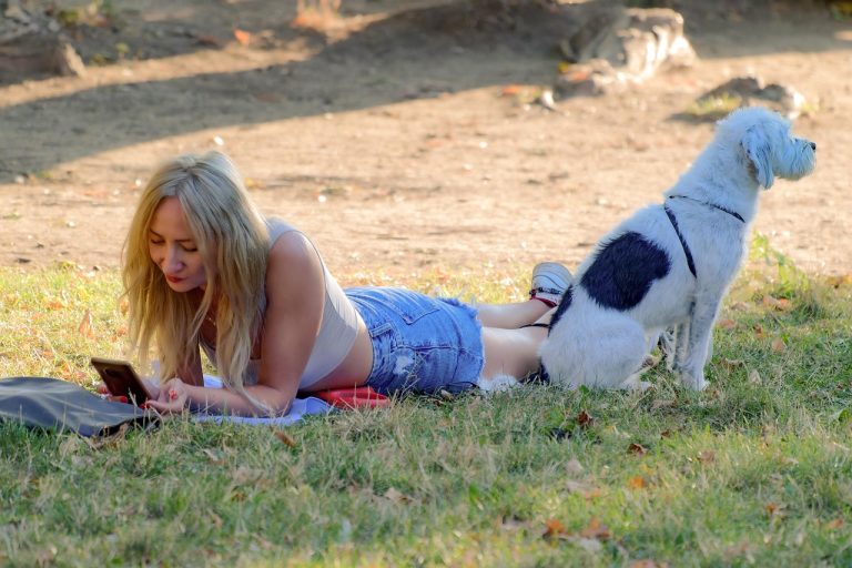 The Ultimate Guide To Enhancing Your Pets Lifestyle Tips And Tricks