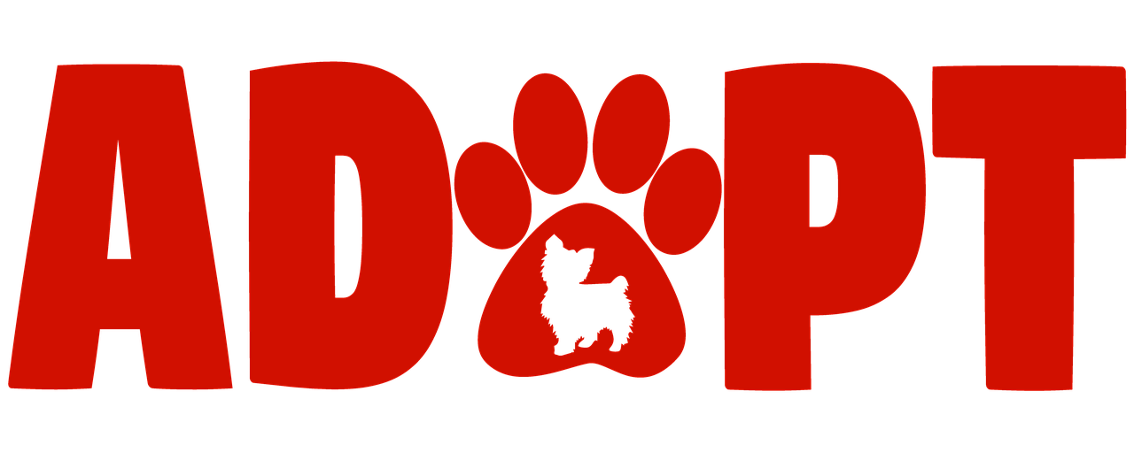 As a final note, always prioritize your pet's safety and