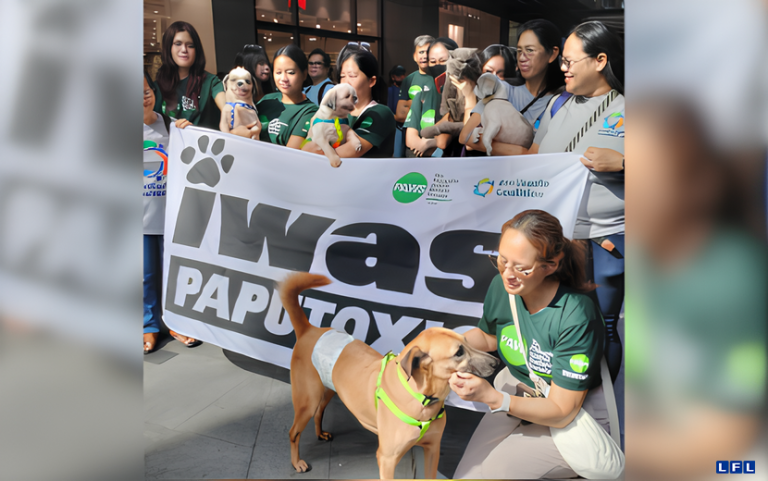 imgi_3_your-paragraph-text-4