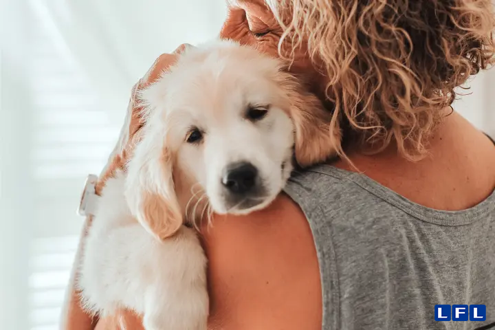 portrait-depressed-senior-woman-hugging-116187460_a9f7a2