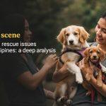 Volunteers at a Philippine animal shelter caring for rescued pets during the day.